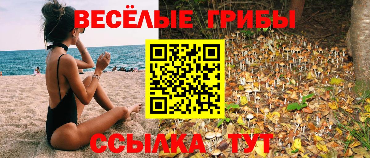 Камышин  Галлюциногенные грибы MAGIC MUSHROOMS  магазин  наркотиков  Галлюциногенные грибы Cubensis  Вход с VPN 