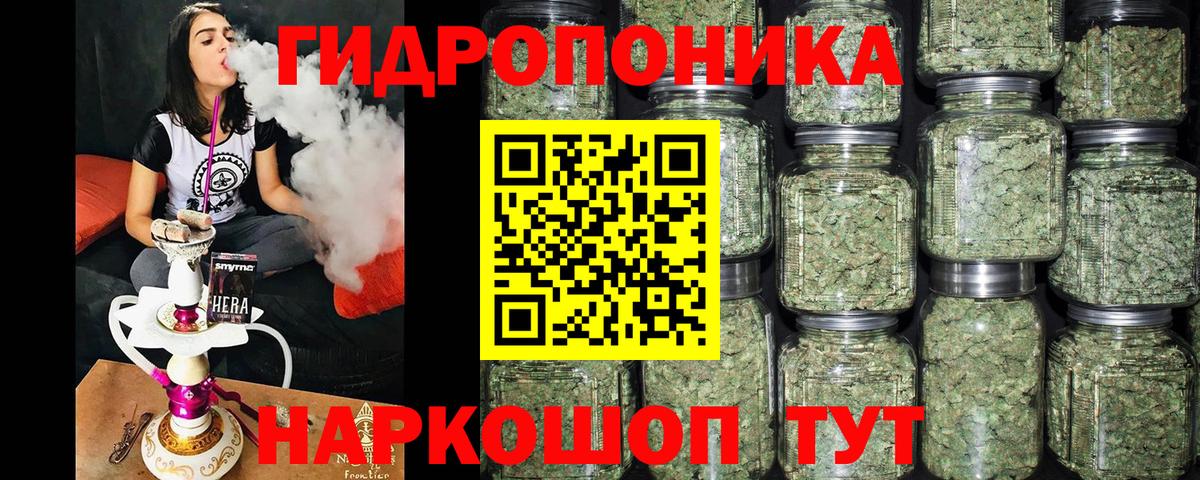 Канабис марихуана  Канабис ГИДРОПОН  Вход с VPN  Камышин 